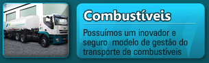 Combustíveis